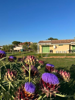 Il giardino di nunzia La Principina